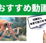 動画生成AIサービスって沢山あるけど結局なにが良いの？